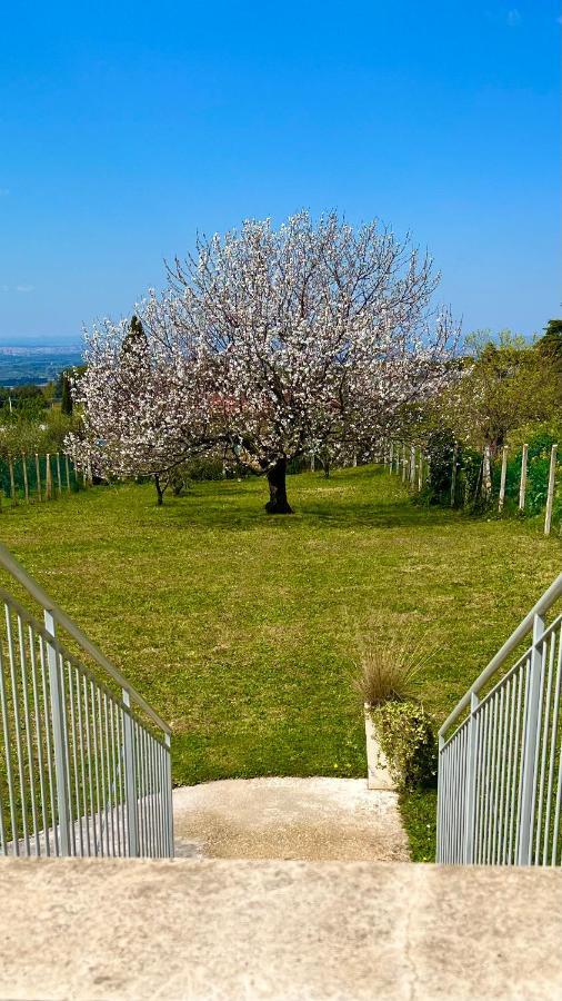 דירות מרינו La Terrazza Sul Ciliegio מראה חיצוני תמונה